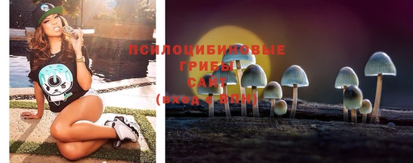 2c-b Арсеньев