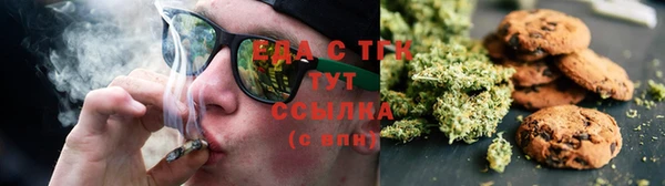прущие грибы Аркадак