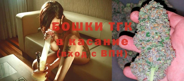 прущие грибы Аркадак