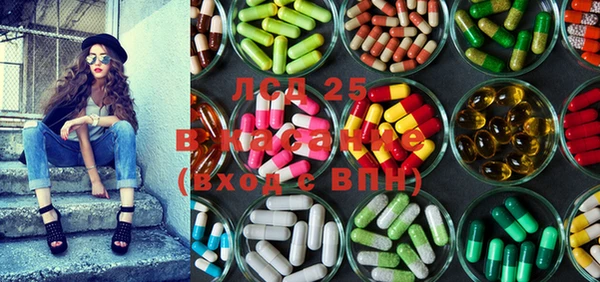 прущие грибы Аркадак