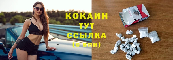 прущие грибы Аркадак