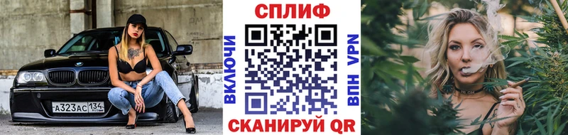 дарнет шоп  Заозёрск  Бошки Шишки ГИДРОПОН 